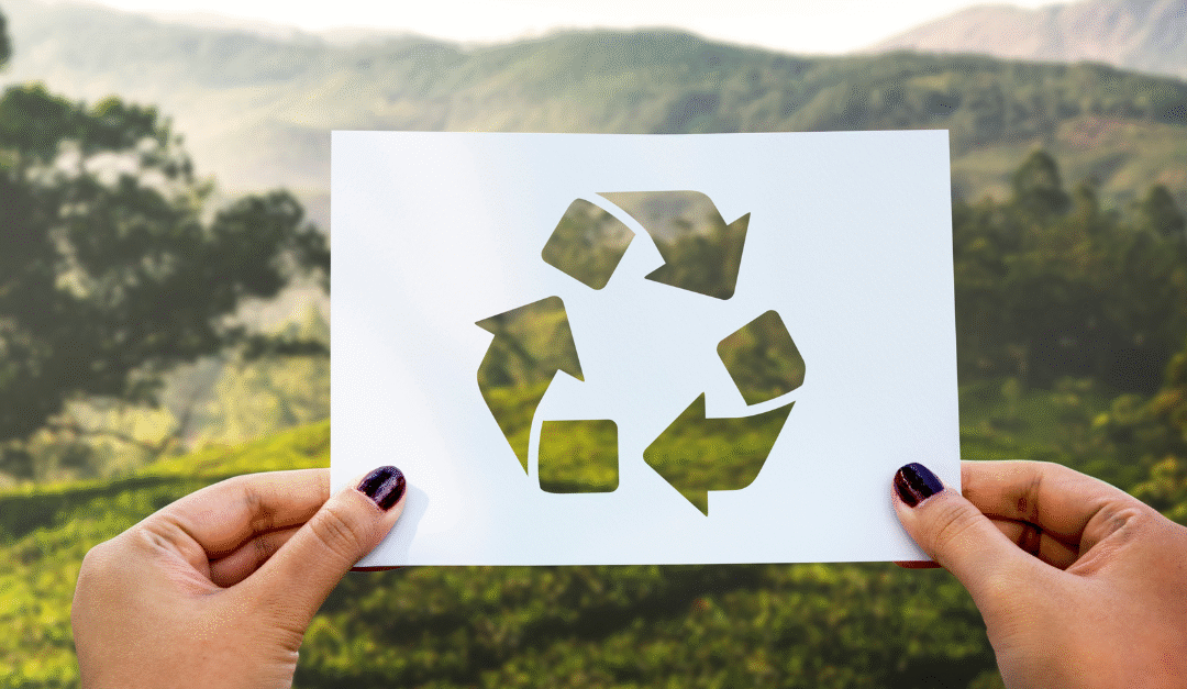 DÍA MUNDIAL DEL RECICLAJE: Las Empresas y Organizaciones como Agentes de Cambio