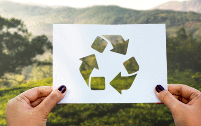 DÍA MUNDIAL DEL RECICLAJE: Las Empresas y Organizaciones como Agentes de Cambio